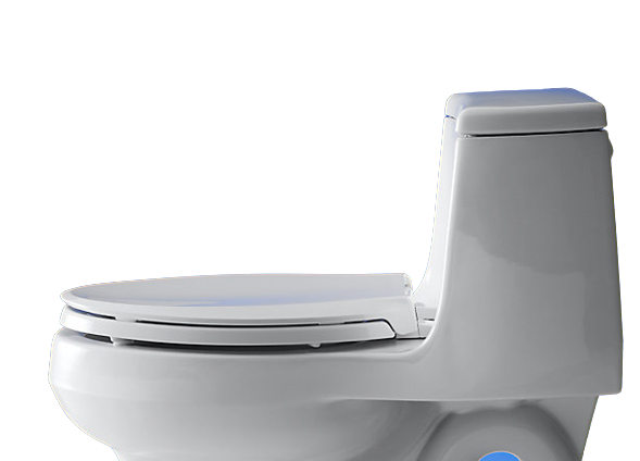 What is Toilet Seat Spray?