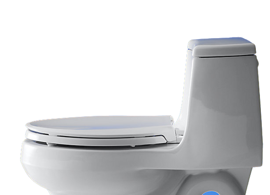 What is Toilet Seat Spray?